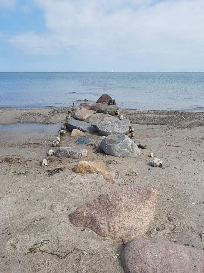 Ferienwohnung "Luv" Grube Ostsee Екстериор снимка