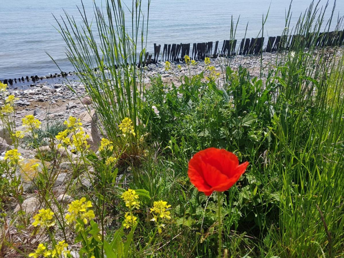 Ferienwohnung "Luv" Grube Ostsee Екстериор снимка