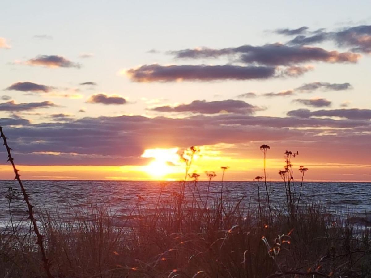 Ferienwohnung "Luv" Grube Ostsee Екстериор снимка