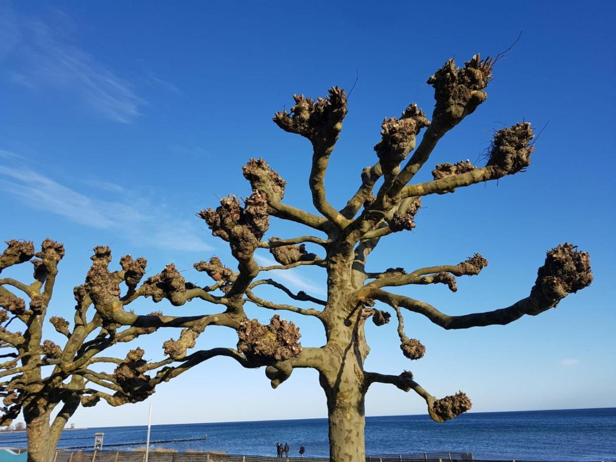 Ferienwohnung "Luv" Grube Ostsee Екстериор снимка