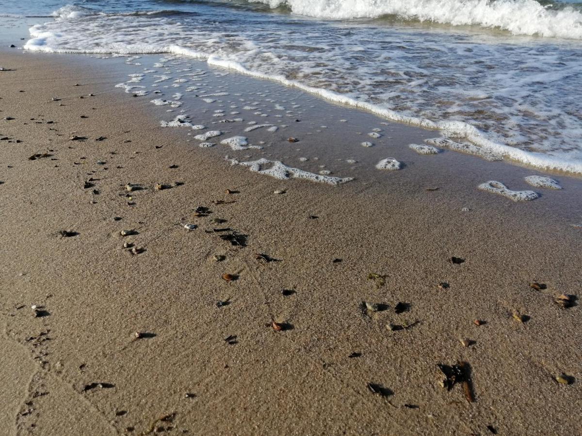 Ferienwohnung "Luv" Grube Ostsee Екстериор снимка
