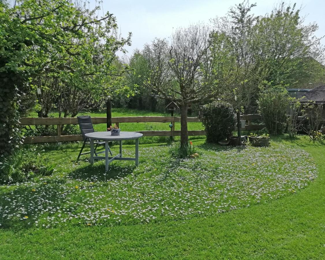 Ferienwohnung "Luv" Grube Ostsee Екстериор снимка