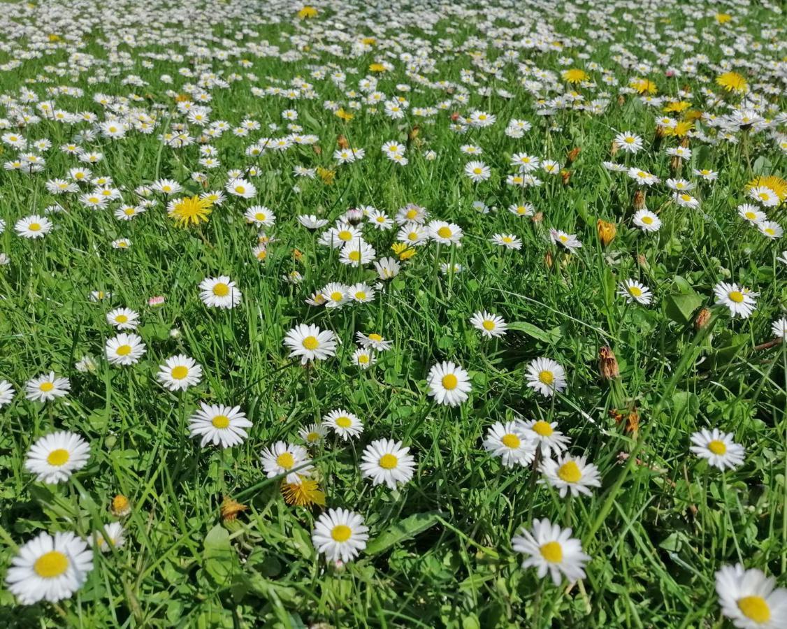 Ferienwohnung "Luv" Grube Ostsee Екстериор снимка